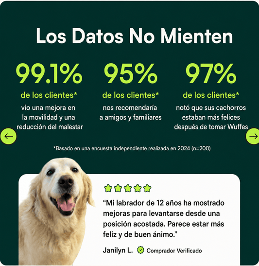 Wuffes Cuidado Articular