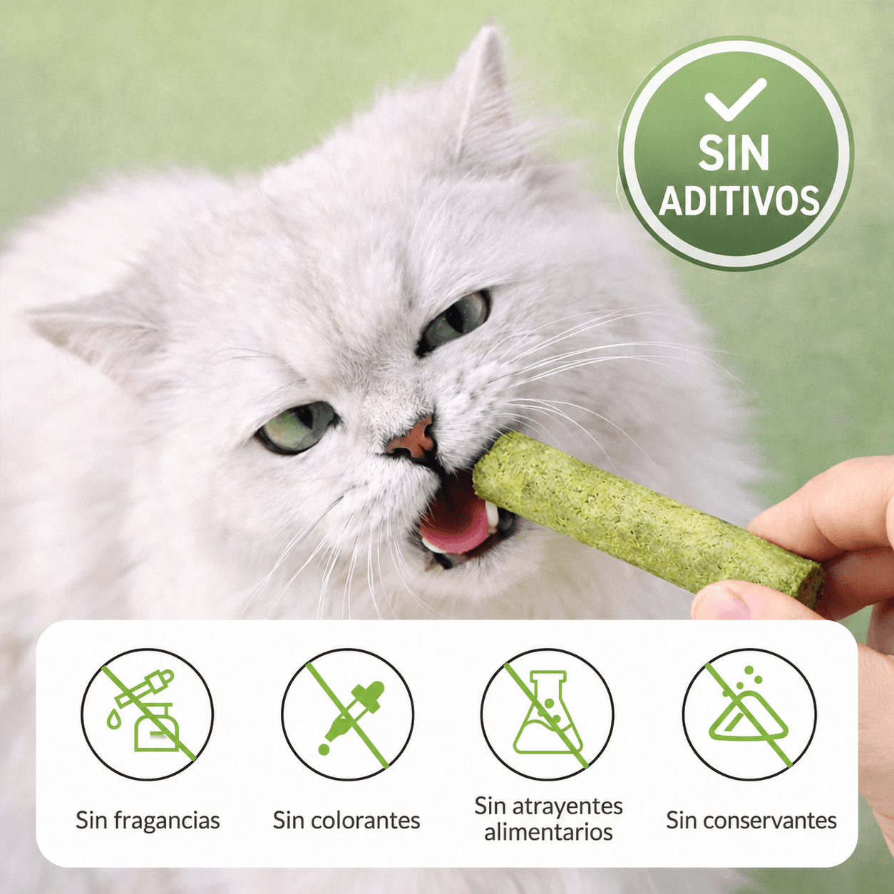 Palitos para gatos
