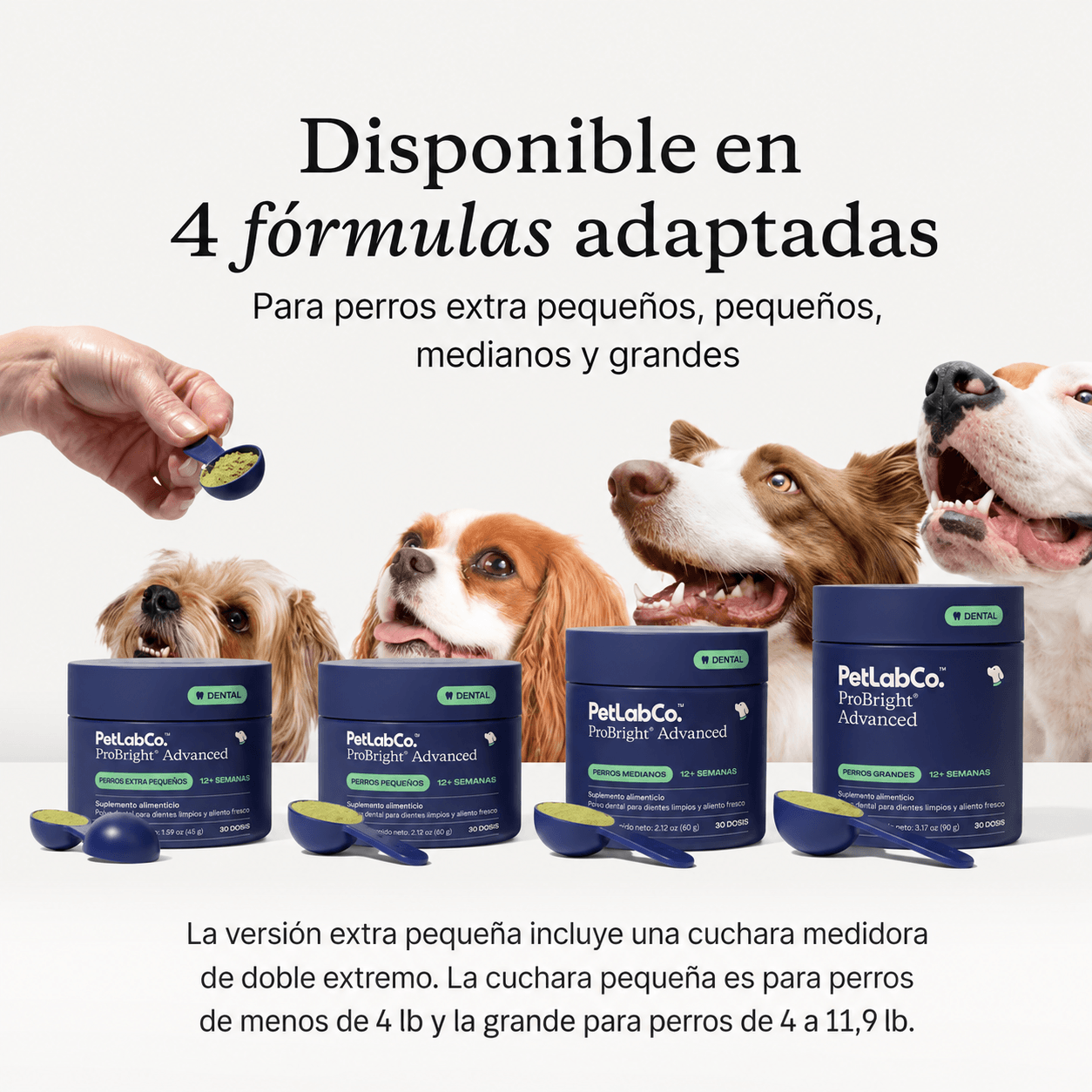 ProBright® Advanced
