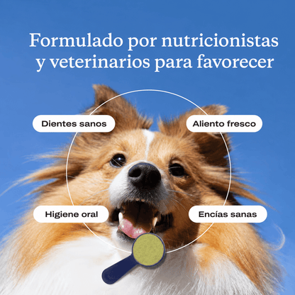 ProBright® Advanced