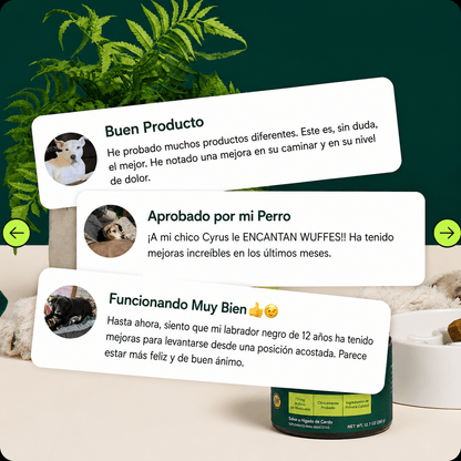 Wuffes Cuidado Articular