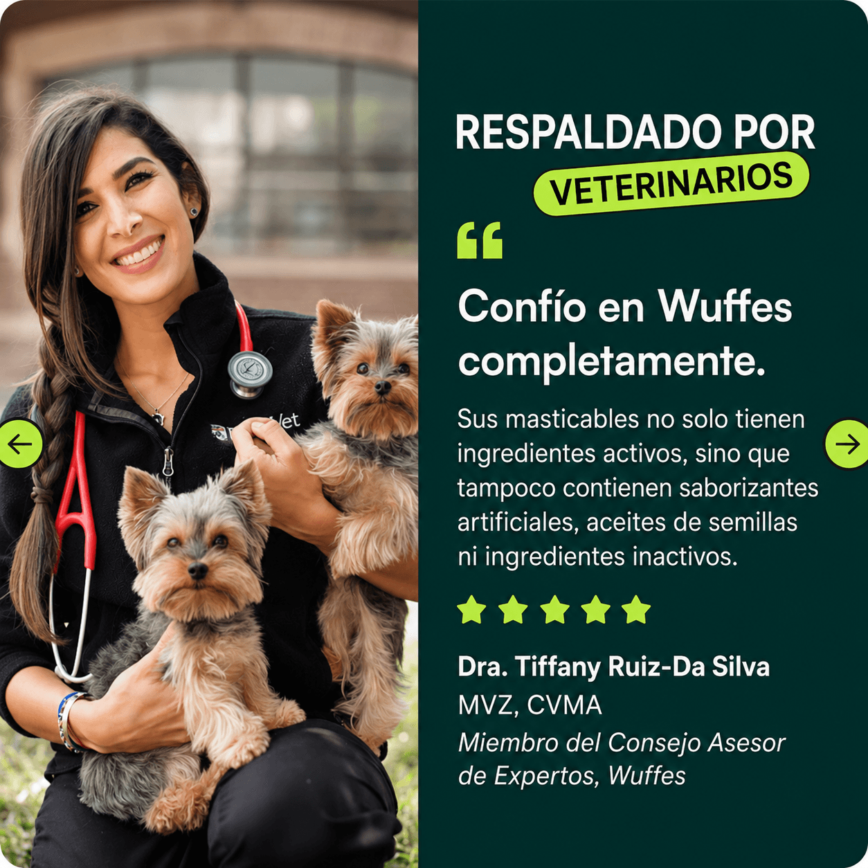 Wuffes Cuidado Articular