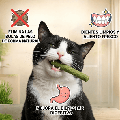 Palitos para gatos
