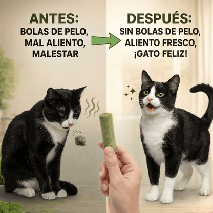 Palitos para gatos