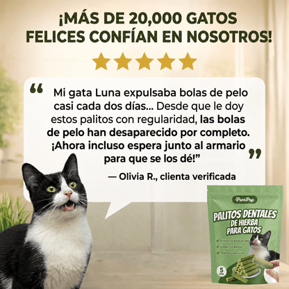 Palitos para gatos