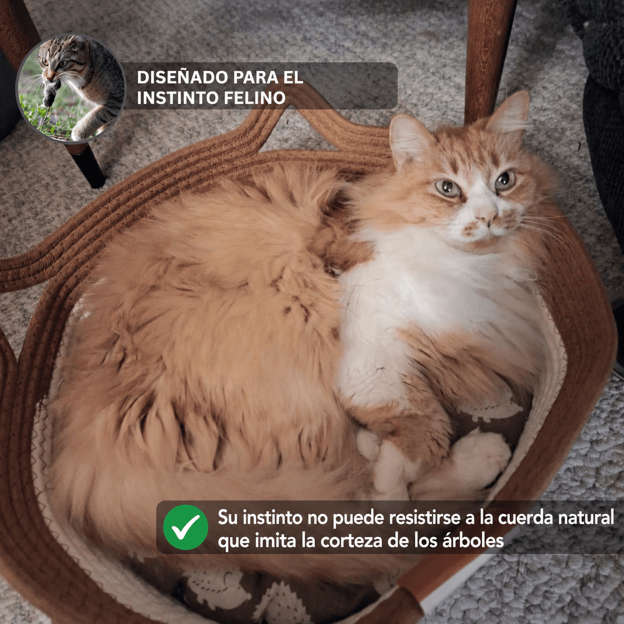 Cesta para gatos