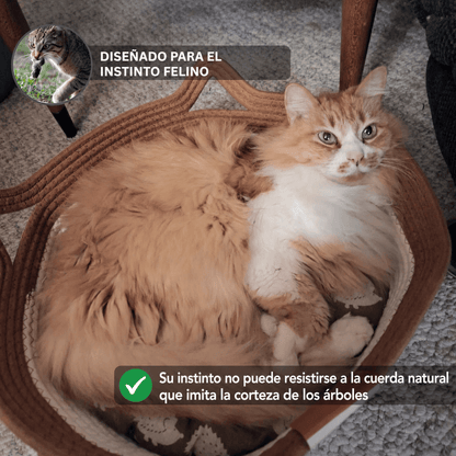 Cesta para gatos