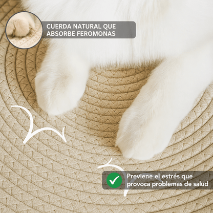 Cesta para gatos