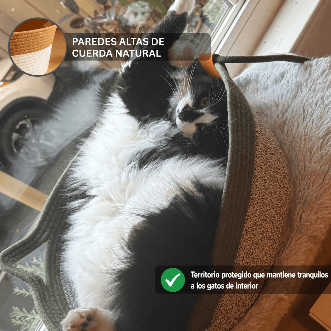 Cesta para gatos
