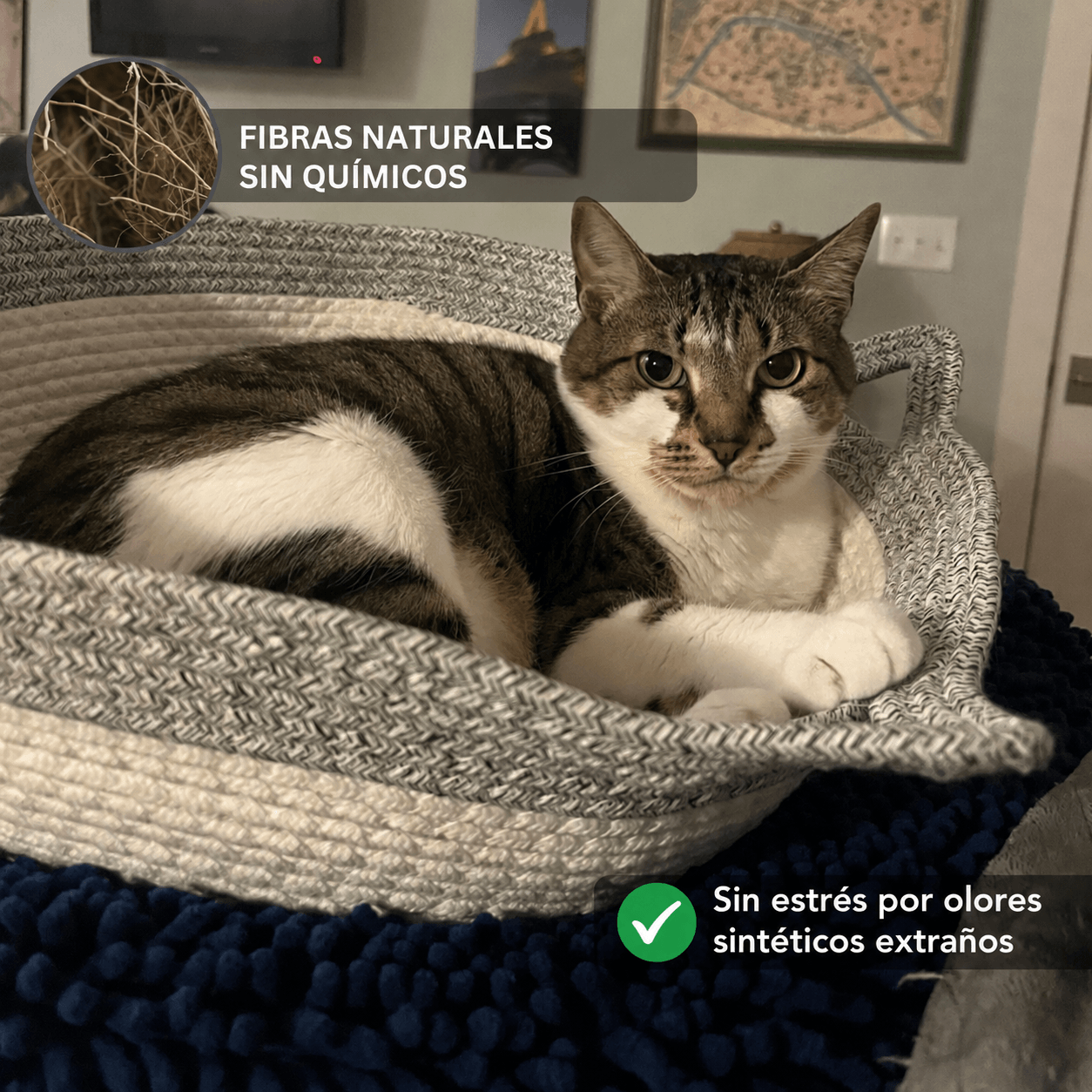 Cesta para gatos