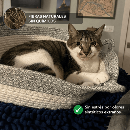 Cesta para gatos