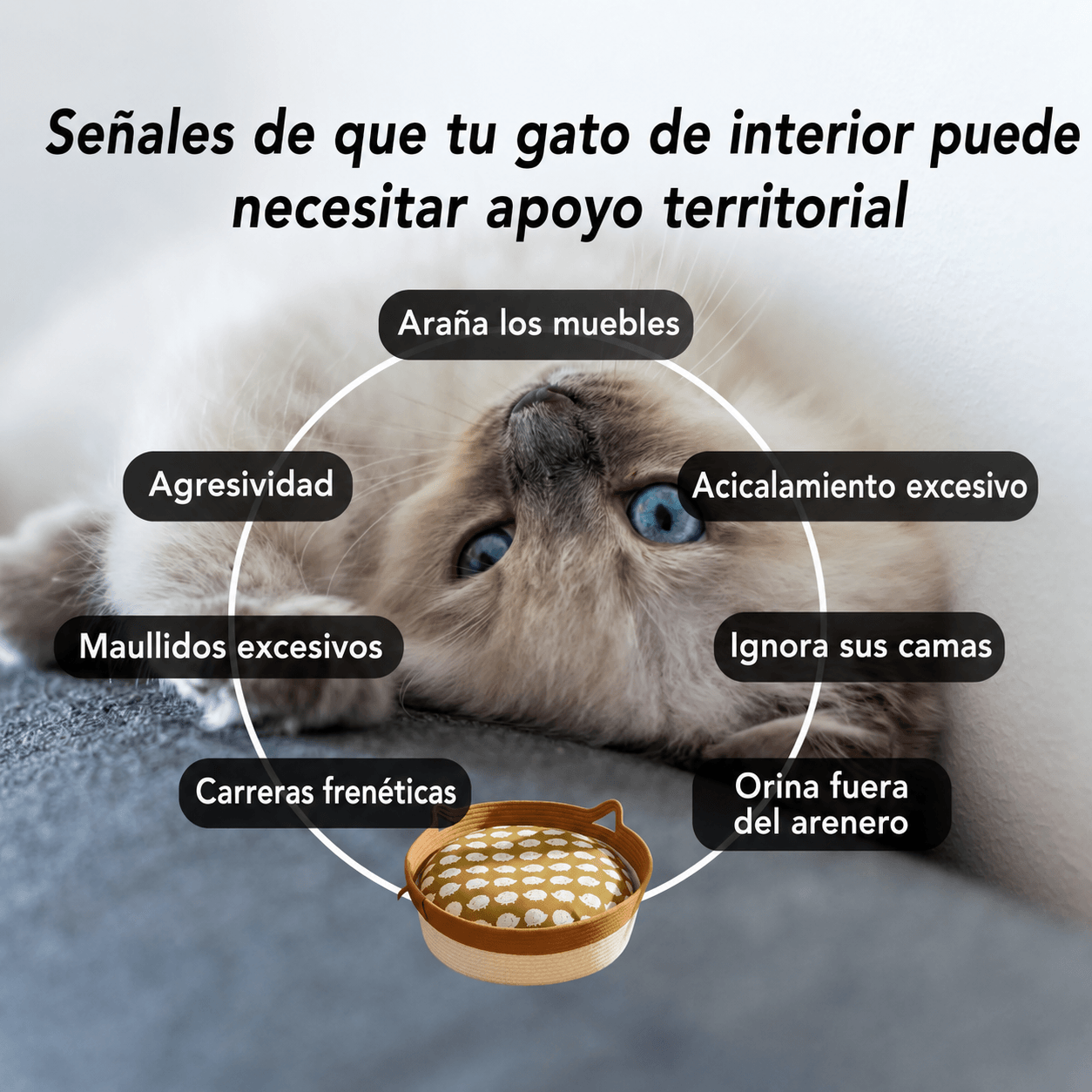 Cesta para gatos