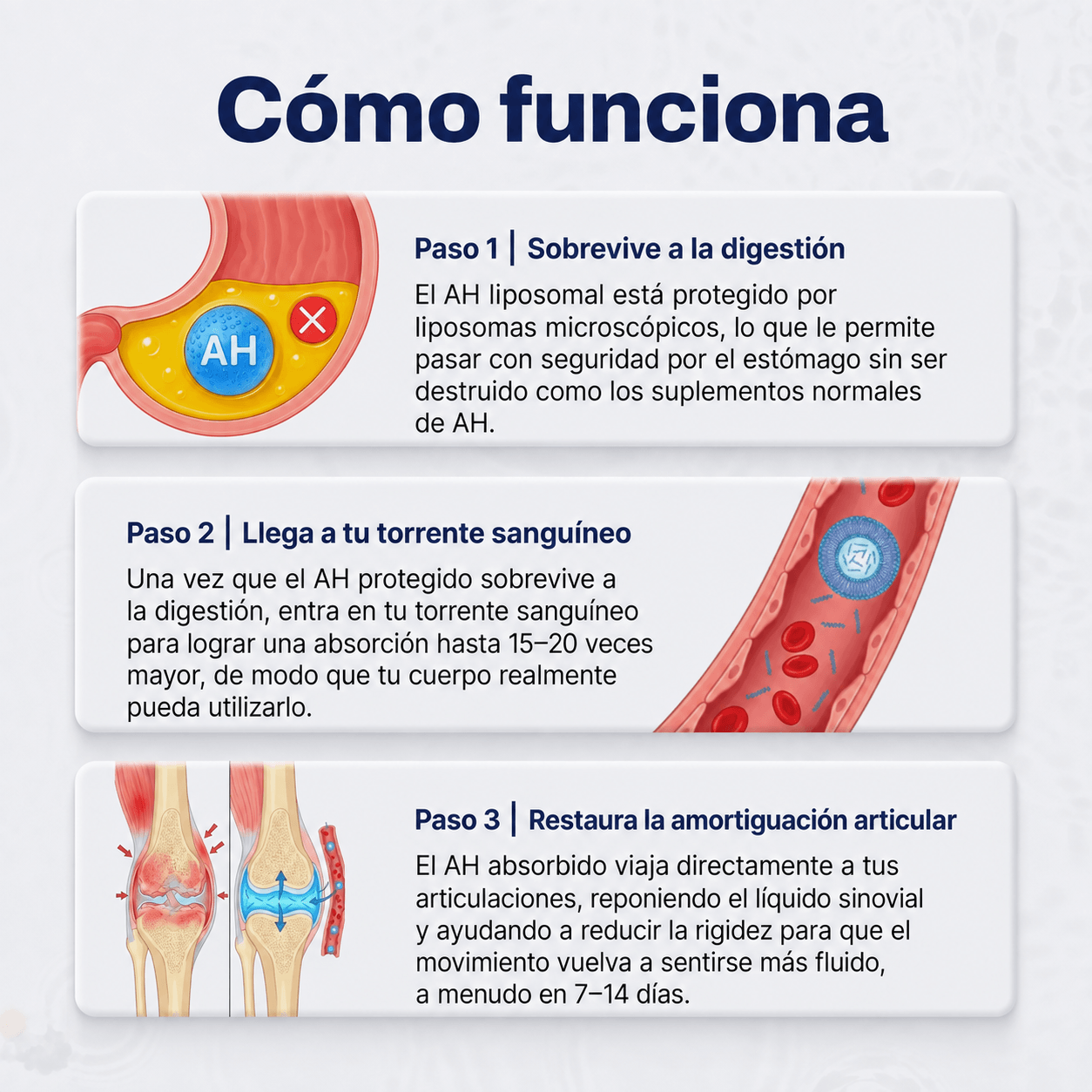 Acido hiluronico vitalhydraha