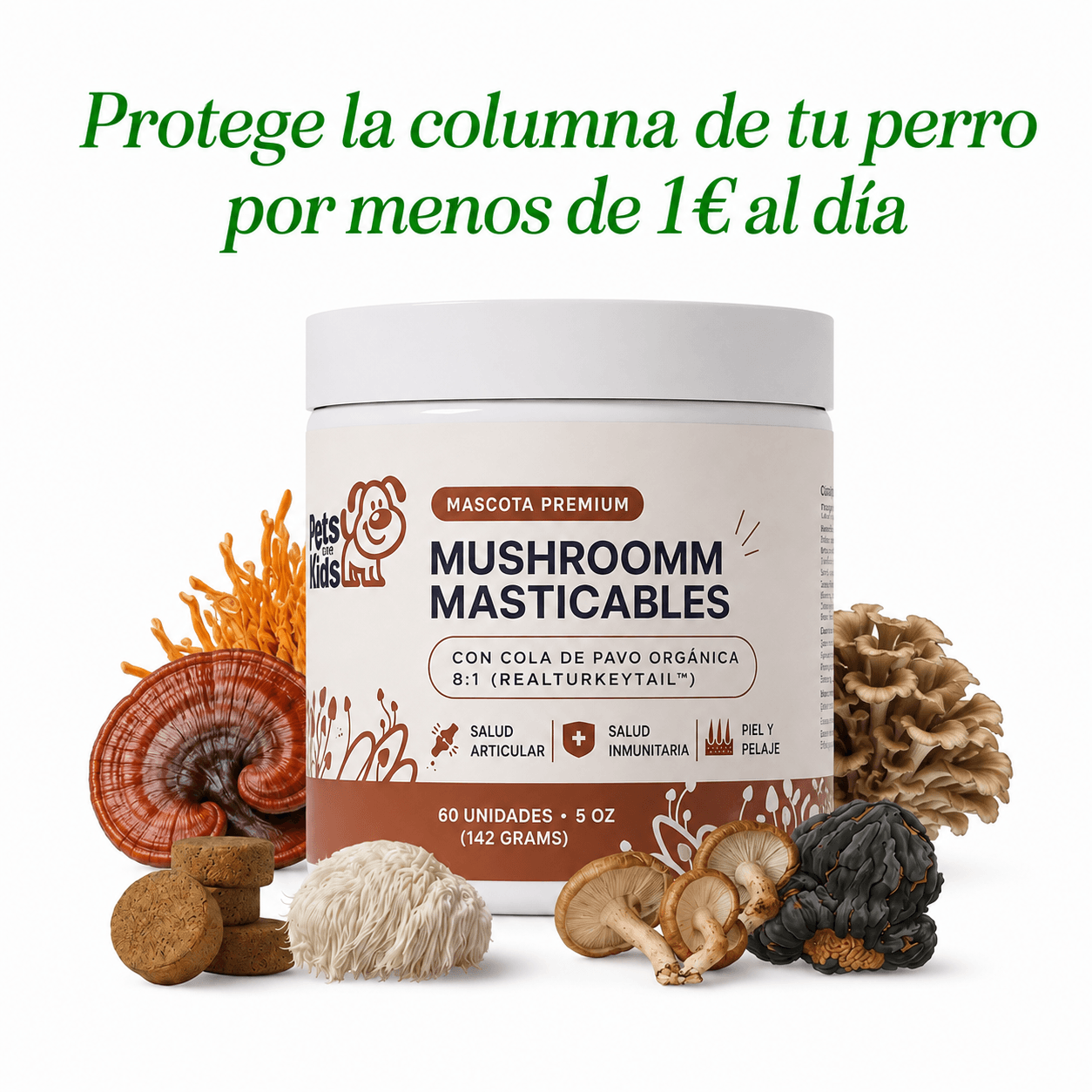 Muhsroomm masticables