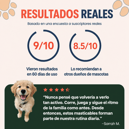 Muhsroomm masticables