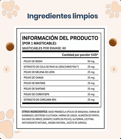Muhsroomm masticables