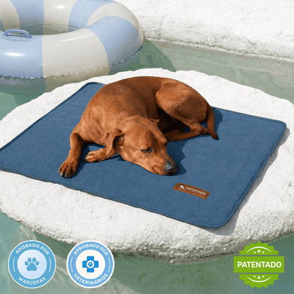 Alfombra Refrescante Canina
