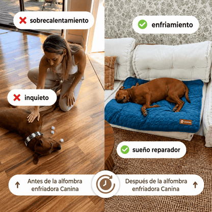 Alfombra Refrescante Canina