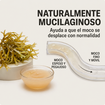 Sea moss