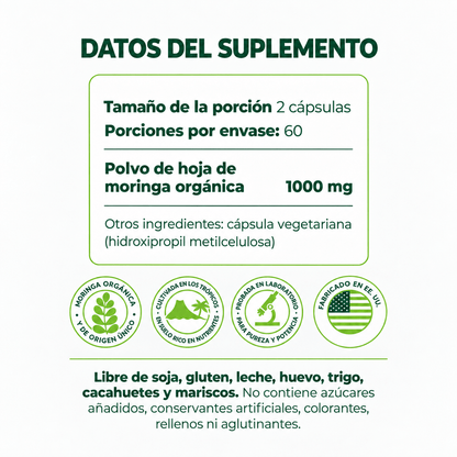 Hoja de moringa pura