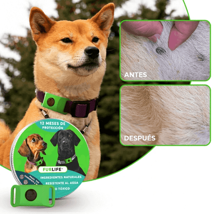 FurLife™ 12 meses libre de pulgas y garrapatas