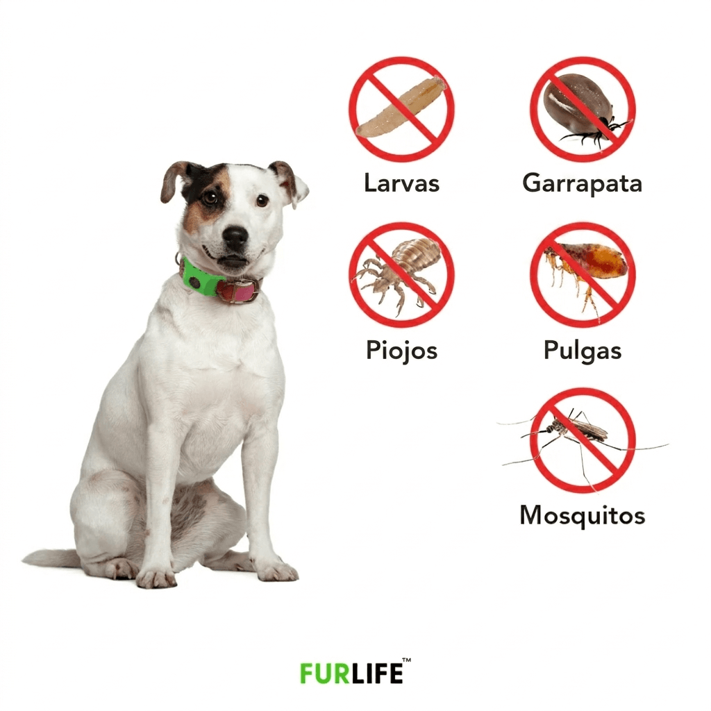 FurLife™ 12 meses libre de pulgas y garrapatas