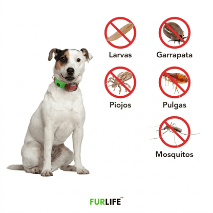 FurLife™ 12 meses libre de pulgas y garrapatas