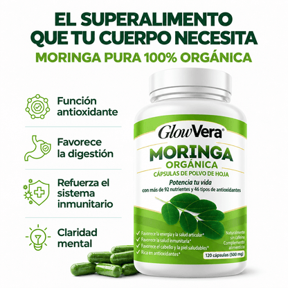 Hoja de moringa pura