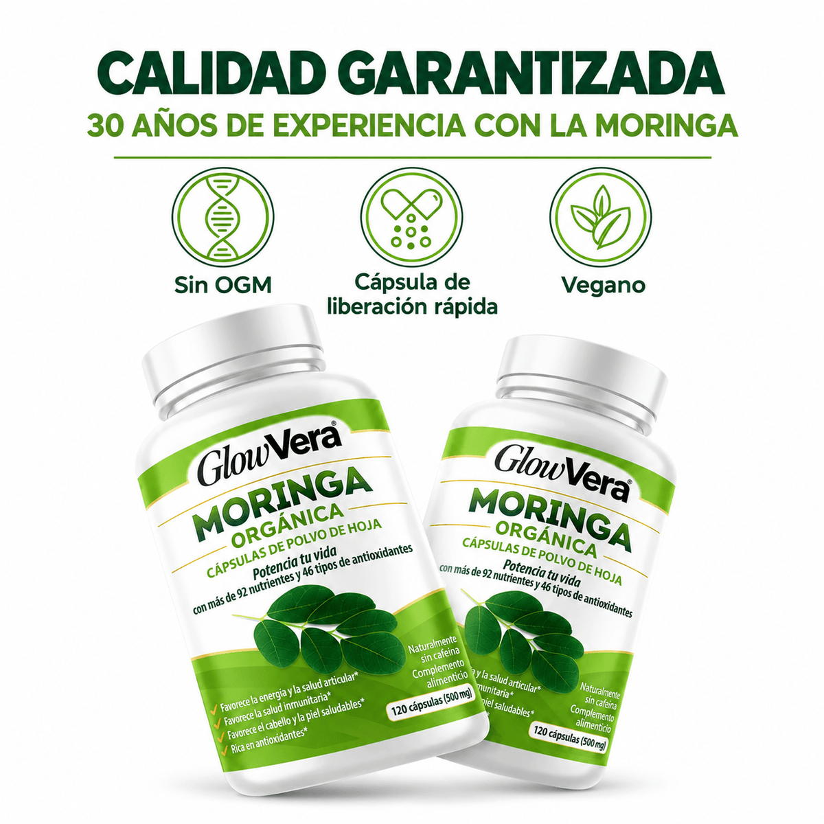 Hoja de moringa pura
