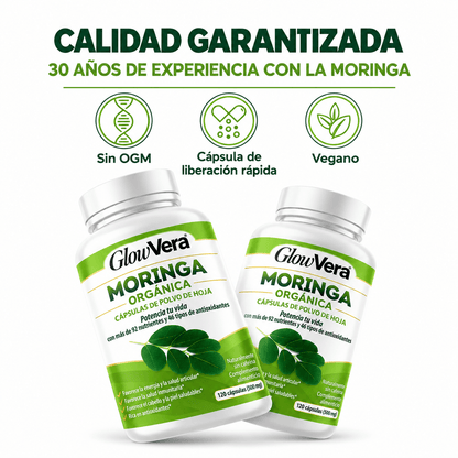 Hoja de moringa pura