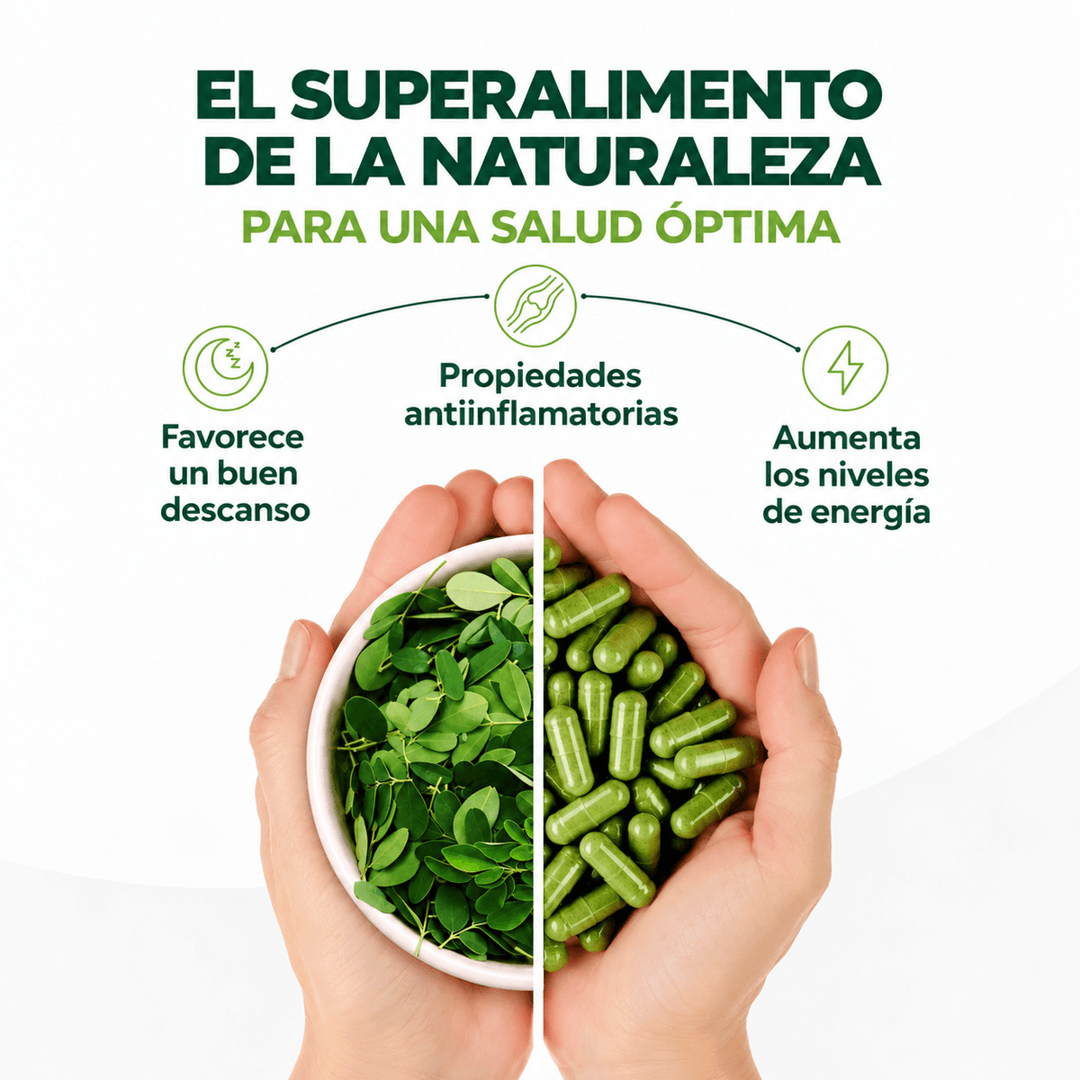 Hoja de moringa pura