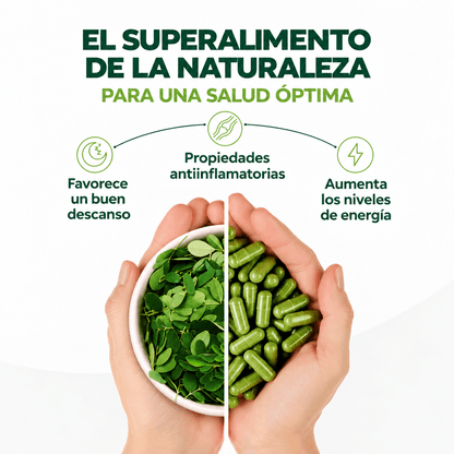 Hoja de moringa pura
