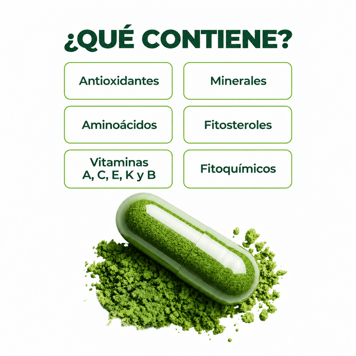 Hoja de moringa pura