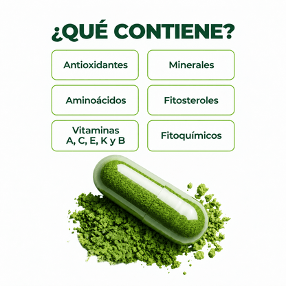 Hoja de moringa pura