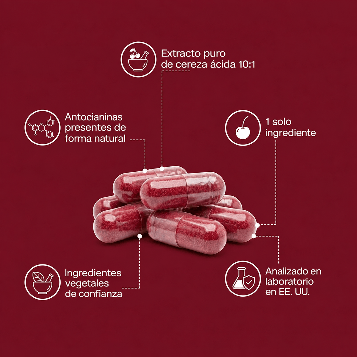 Extracto de Cereza Ácida