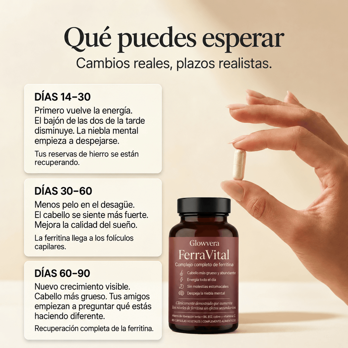 Complejo de Ferritina con Hierro Bisglicinato