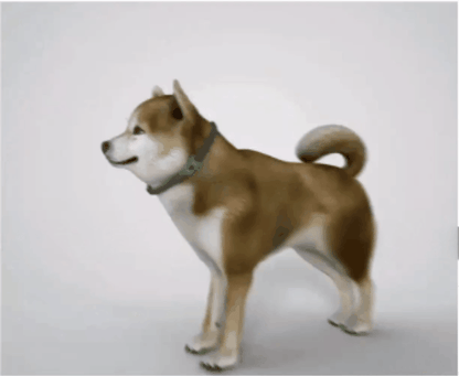 FurLife™ 12 meses libre de pulgas y garrapatas
